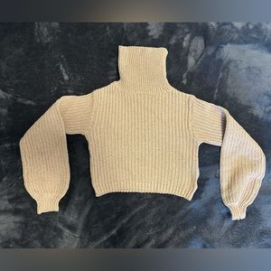 Beige sweater turtle neck